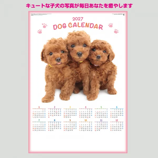 NK-348 ペット（犬） 年表 