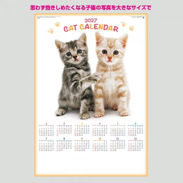 NK-349 ペット（猫）  年表