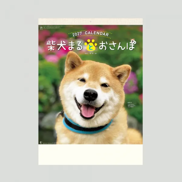 NK-35 柴犬まるとおさんぽカレンダー