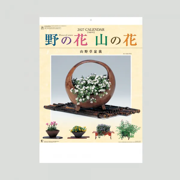 NK-46 野の花・山の花（山野草盆栽集）